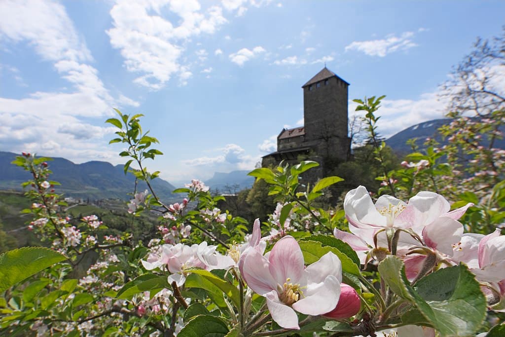 Schloss Tirol