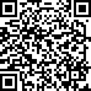 QR Code Audioguide - Leopold Museum – Poesie des Ornaments - Backhausen